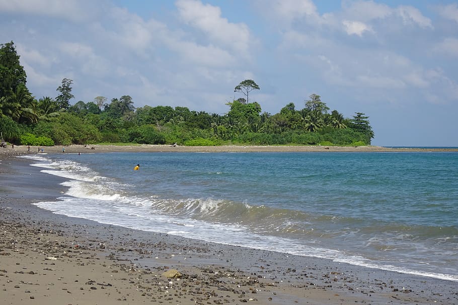 beach, rangat, flora, greenery, sea, bay of bengal, andaman