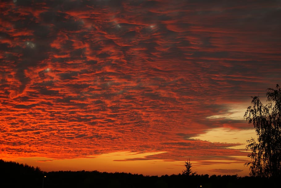 sky, clouds, twilight, sunset, cloud - sky, beauty in nature HD wallpaper