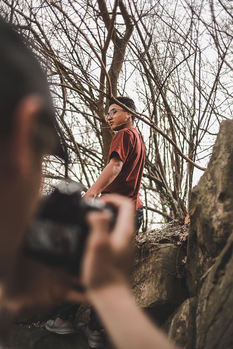 person, human, camera, photography, photographer, plant, tree HD wallpaper