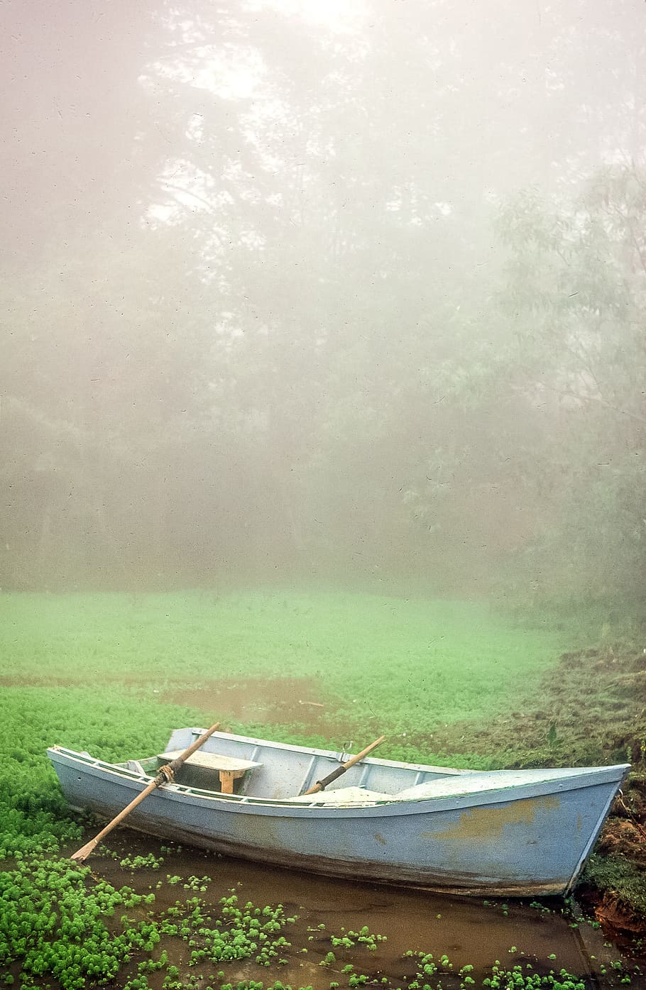 White Rowing Boat in a lagoon during misty morning, adventure, HD wallpaper