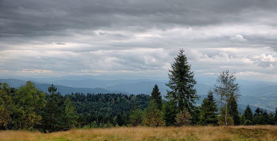 mountains, view, polyana, forest, clouds, autumn, tree, cloud - sky HD wallpaper