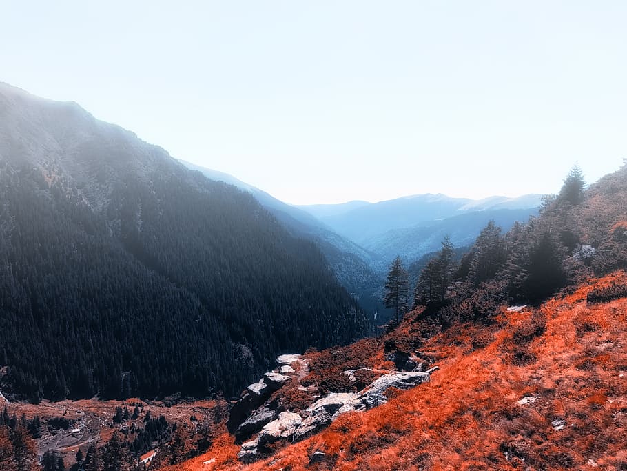 trees on mountains, valley, blue, forest, outdoors, crest, mountain range HD wallpaper