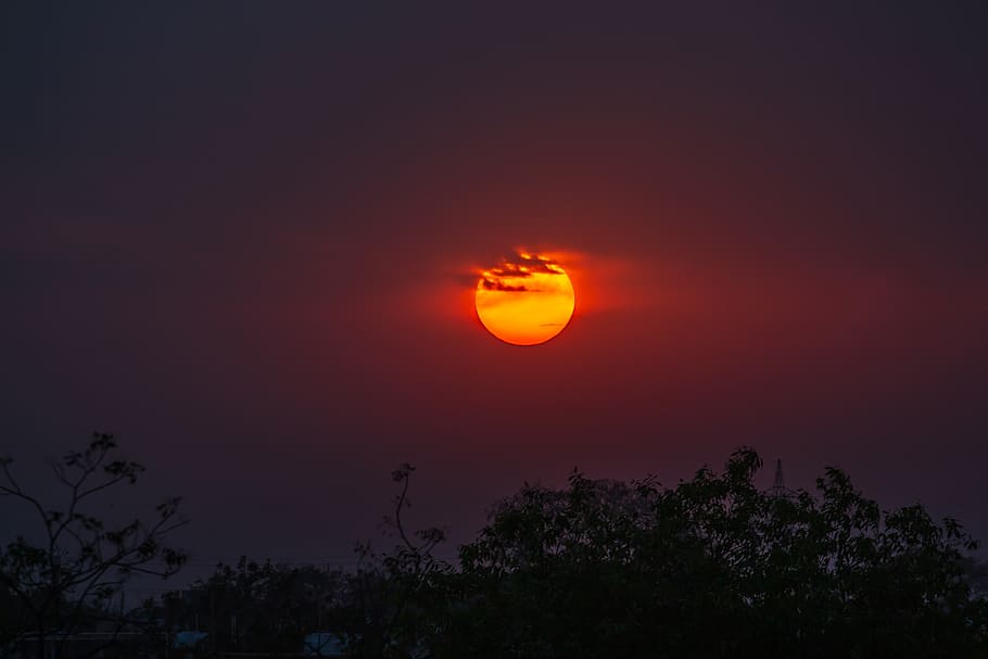yellow moon, sunset, sky, beauty in nature, tree, orange color HD wallpaper