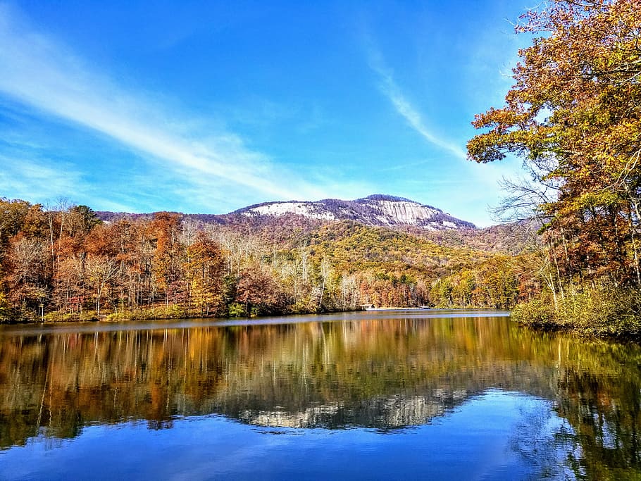 Body of Water Surrounded by Trees, daylight, environment, fall HD wallpaper