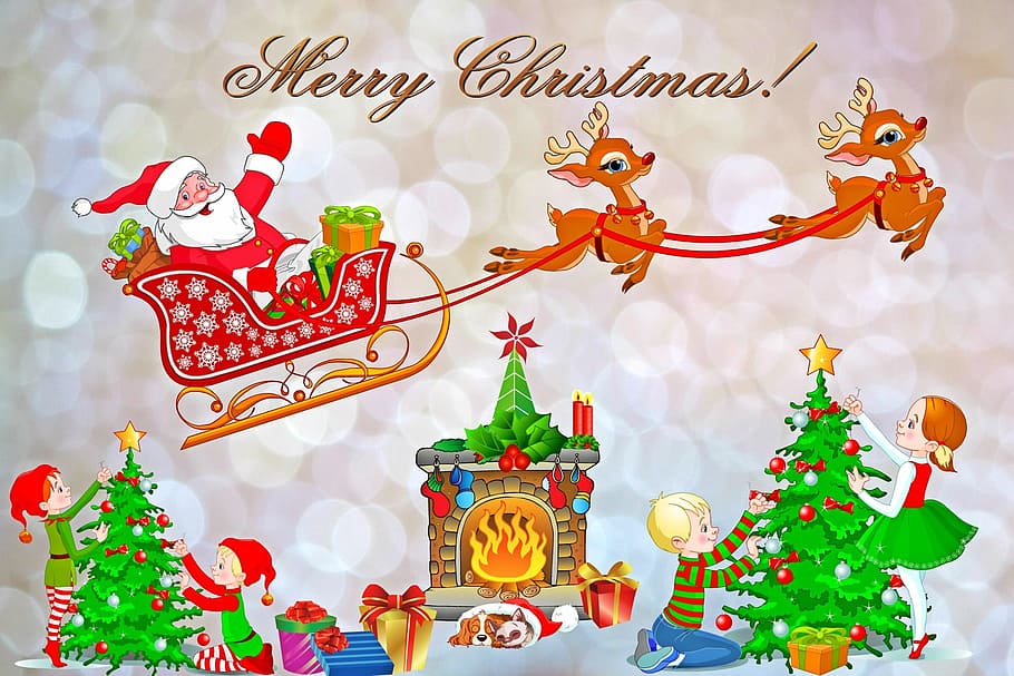christmas, event, card, invitation, celebration, mammal, chinese new year, HD wallpaper