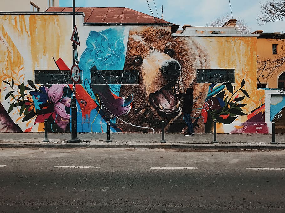 grizzly bear wall paint, creativity, graffiti, art and craft HD wallpaper