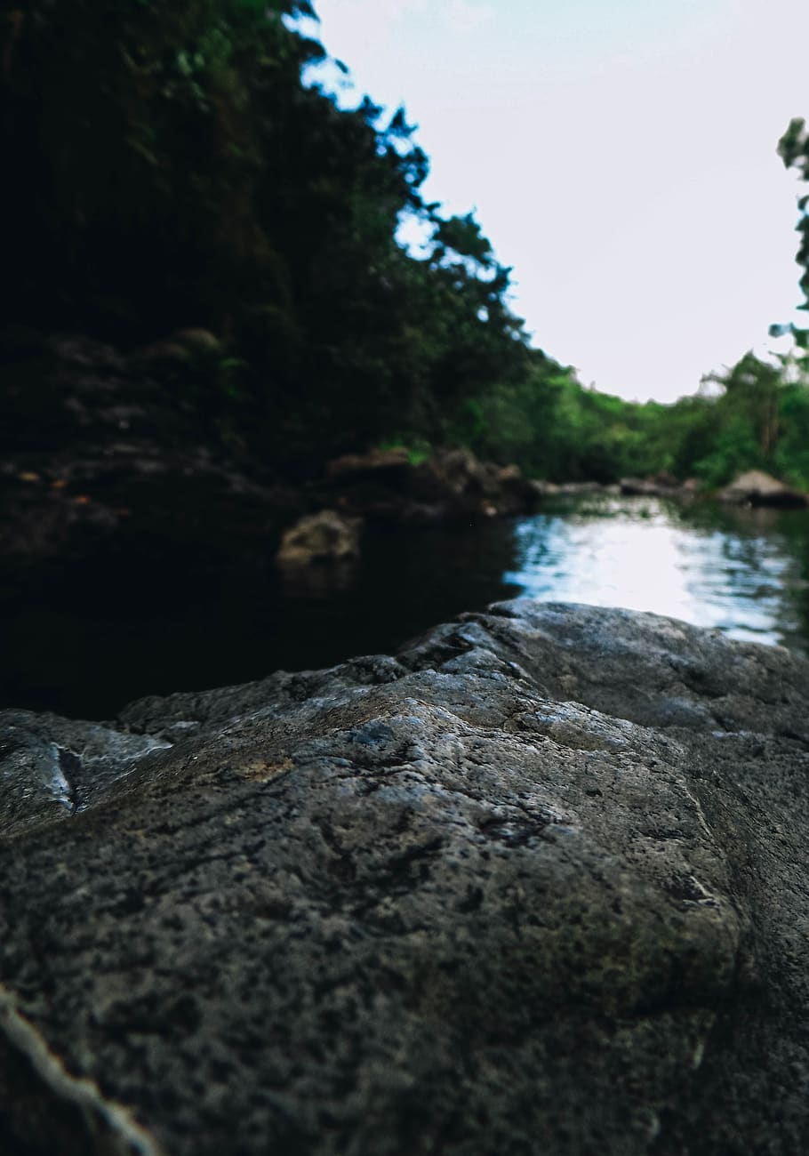 rock, rock - object, solid, water, nature, tree, no people HD wallpaper