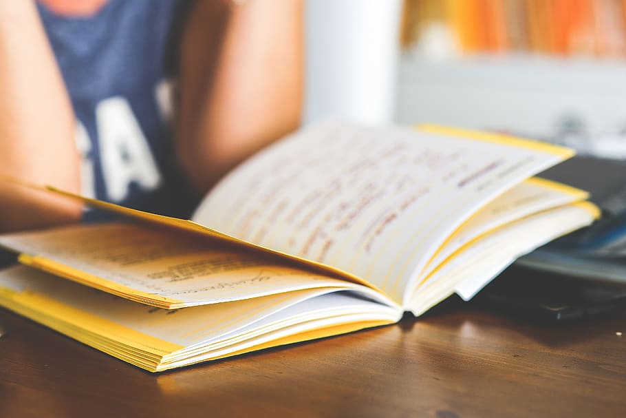 Girl reading a notebook, learning, notes, school, student, university HD wallpaper