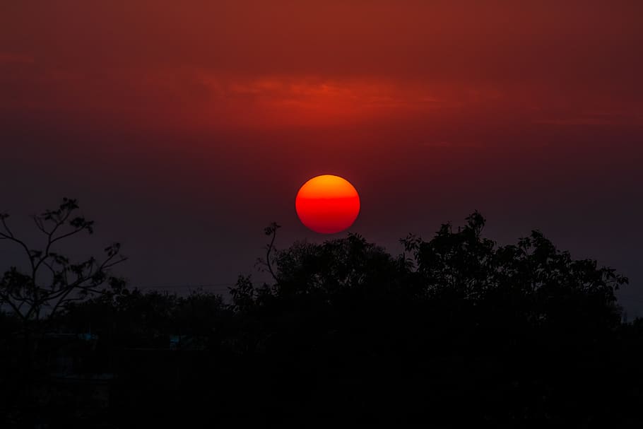 sunset above trees, nature, outdoors, red sky, dusk, dawn, india HD wallpaper