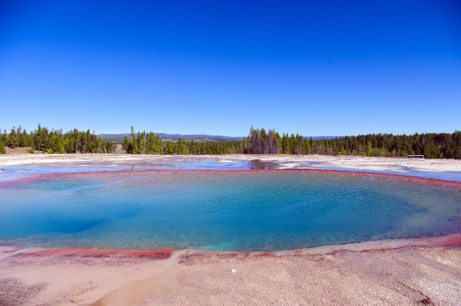 turquoise pool, hot, yellowstone, national, park, wyoming, geothermal HD wallpaper