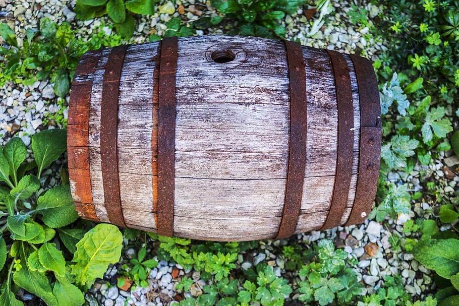barrel, champagne, plant, day, leaf, nature, no people, plant part HD wallpaper