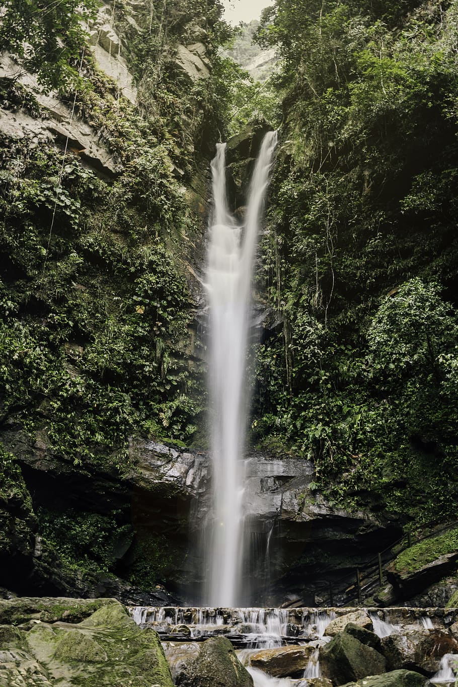waterfalls and trees, motion, long exposure, scenics - nature HD wallpaper