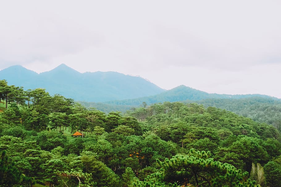Green Mountain Photo, clouds, colors, daylight, environment, landscape HD wallpaper