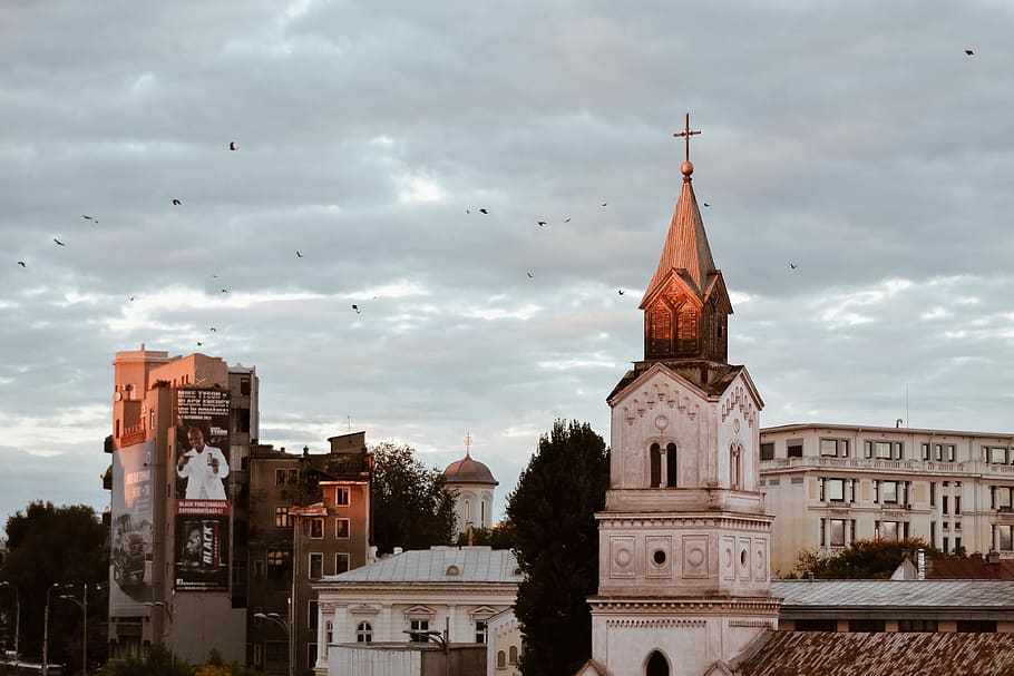 bucharest, romania, crows, birds, clouds, rainy, sunset, mike tyson HD wallpaper