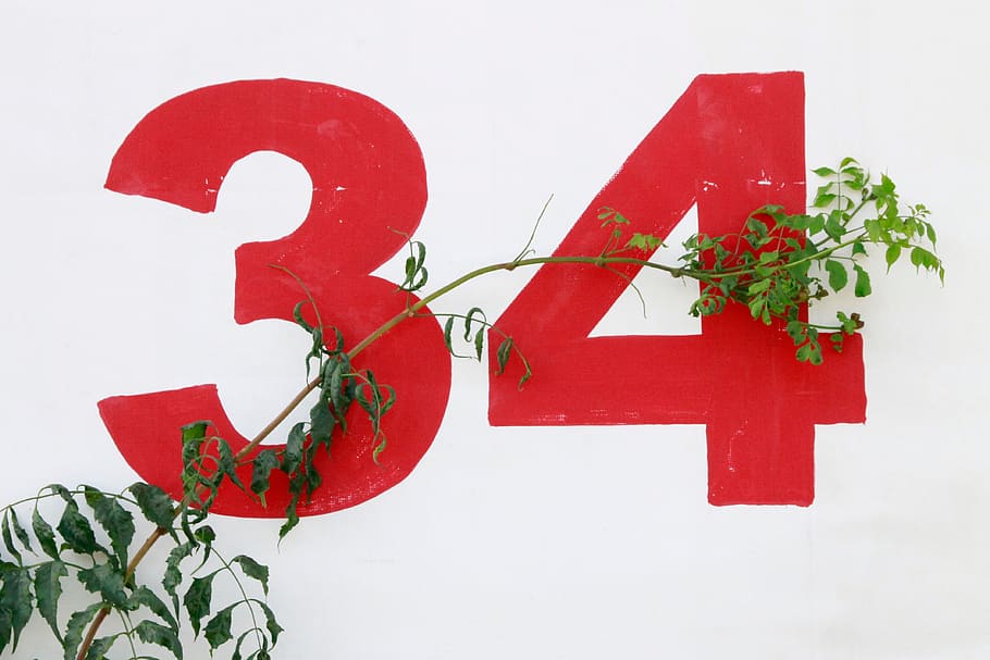white, wall, numbers, branch, leaves, plant, red, leaf, plant part HD wallpaper