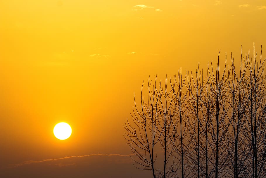 sunrise, sunshine, sky, sunlight, nature, sunset, morning, dom HD wallpaper