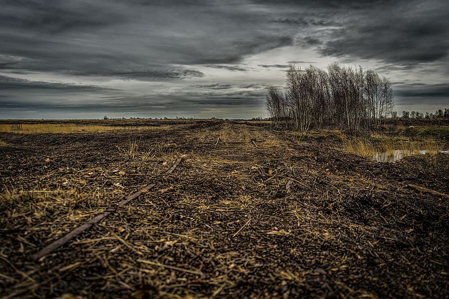 horizon, dark, landscape, clouds, nature, cloud - sky, field HD wallpaper