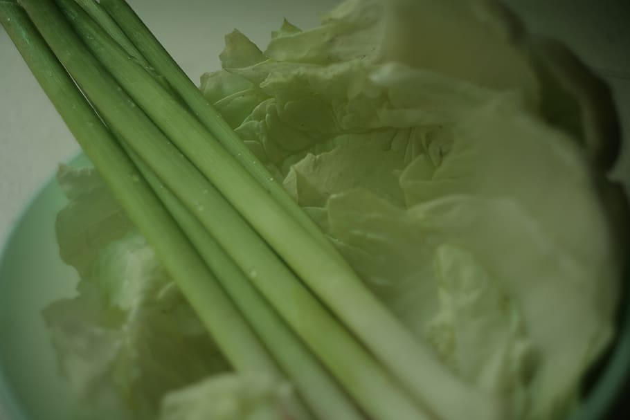plant, food, produce, vegetable, leek, cabbage, lettuce, head cabbage, HD wallpaper