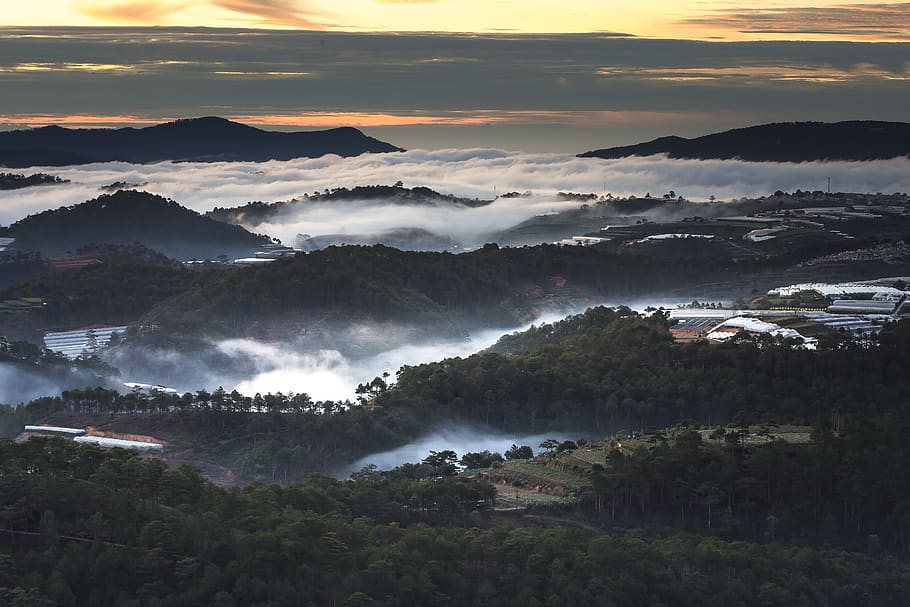 Aerial View Photography of Green Forest, beautiful, clouds, dawn HD wallpaper