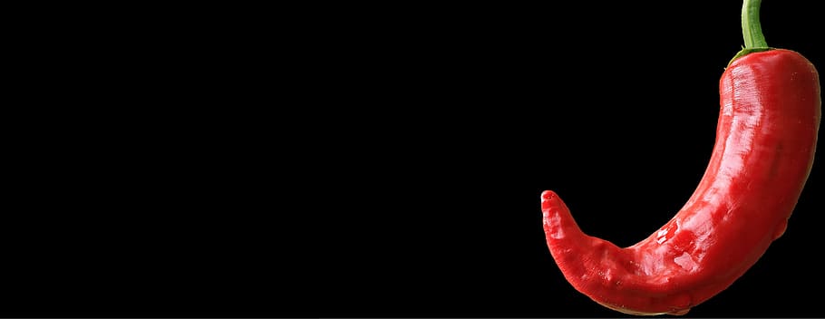 pepper, chili, red, fresh, food, spice, spicy, nature, veg HD wallpaper