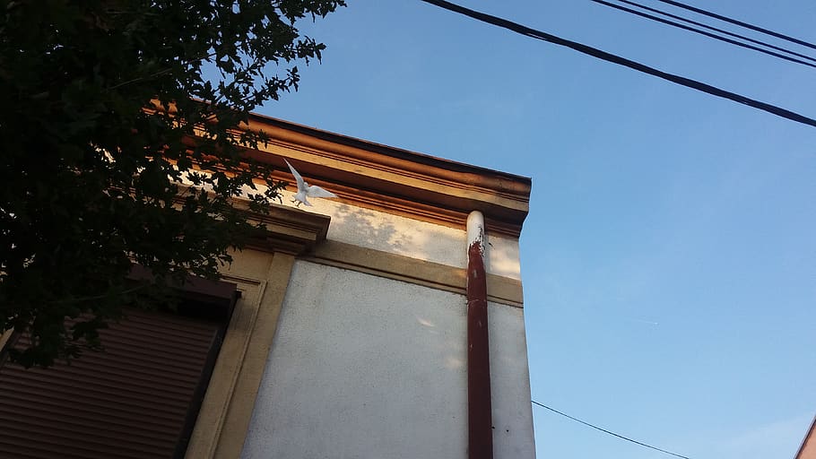 serbia, belgrade, architecture, built structure, low angle view HD wallpaper