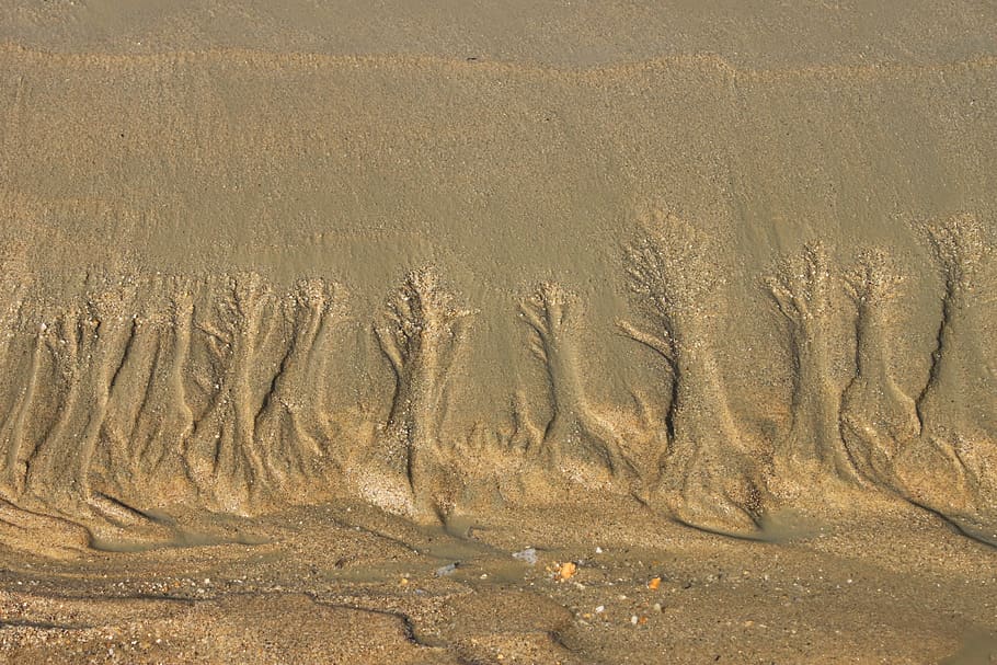 tidal, mud, dirt, nature, sand, mud flat, foreshore, land, day HD wallpaper