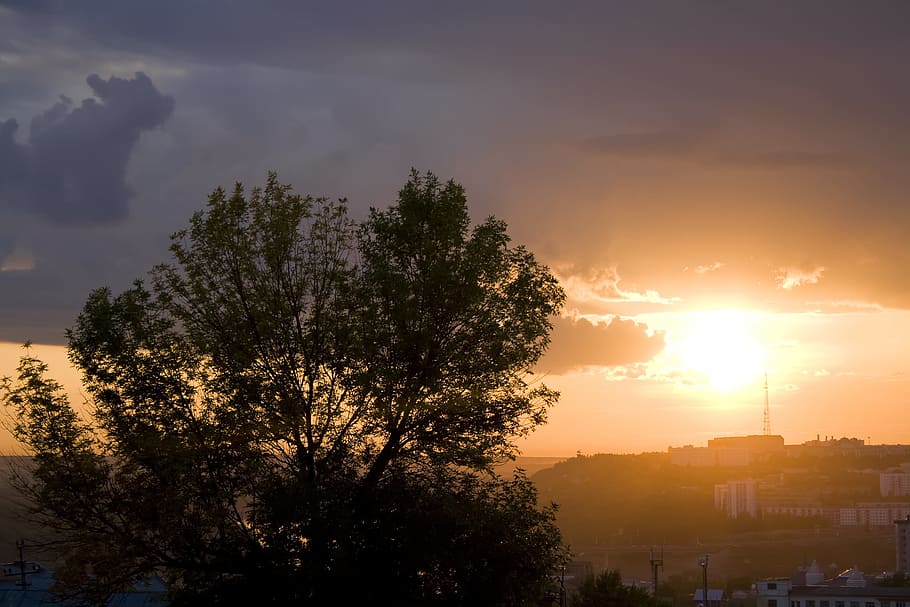 sunset, sky, clouds, tree, landscape, nature, plant, cloud - sky HD wallpaper