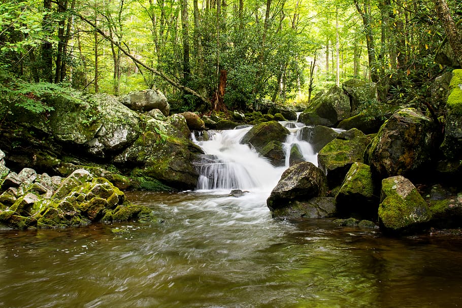 HD wallpaper: great smoky mountains, united states, waterfall, stream ...