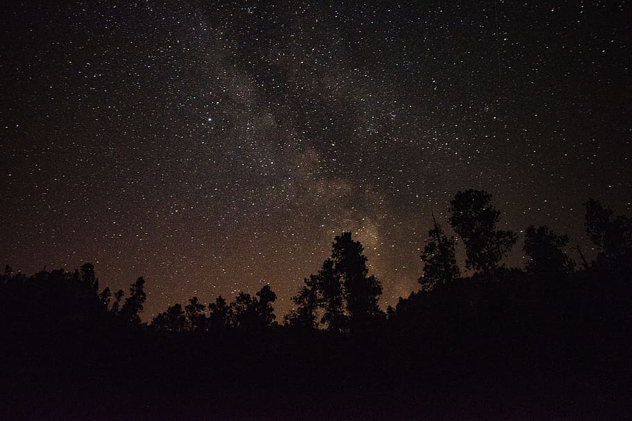 tree, sky, star, ridge, ridgeline, landscape, dark, night, long exposure HD wallpaper