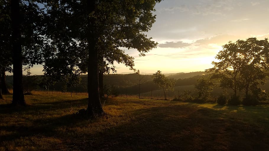 beautiful, nature, landscape, forest, outdoors, relax, summer HD wallpaper