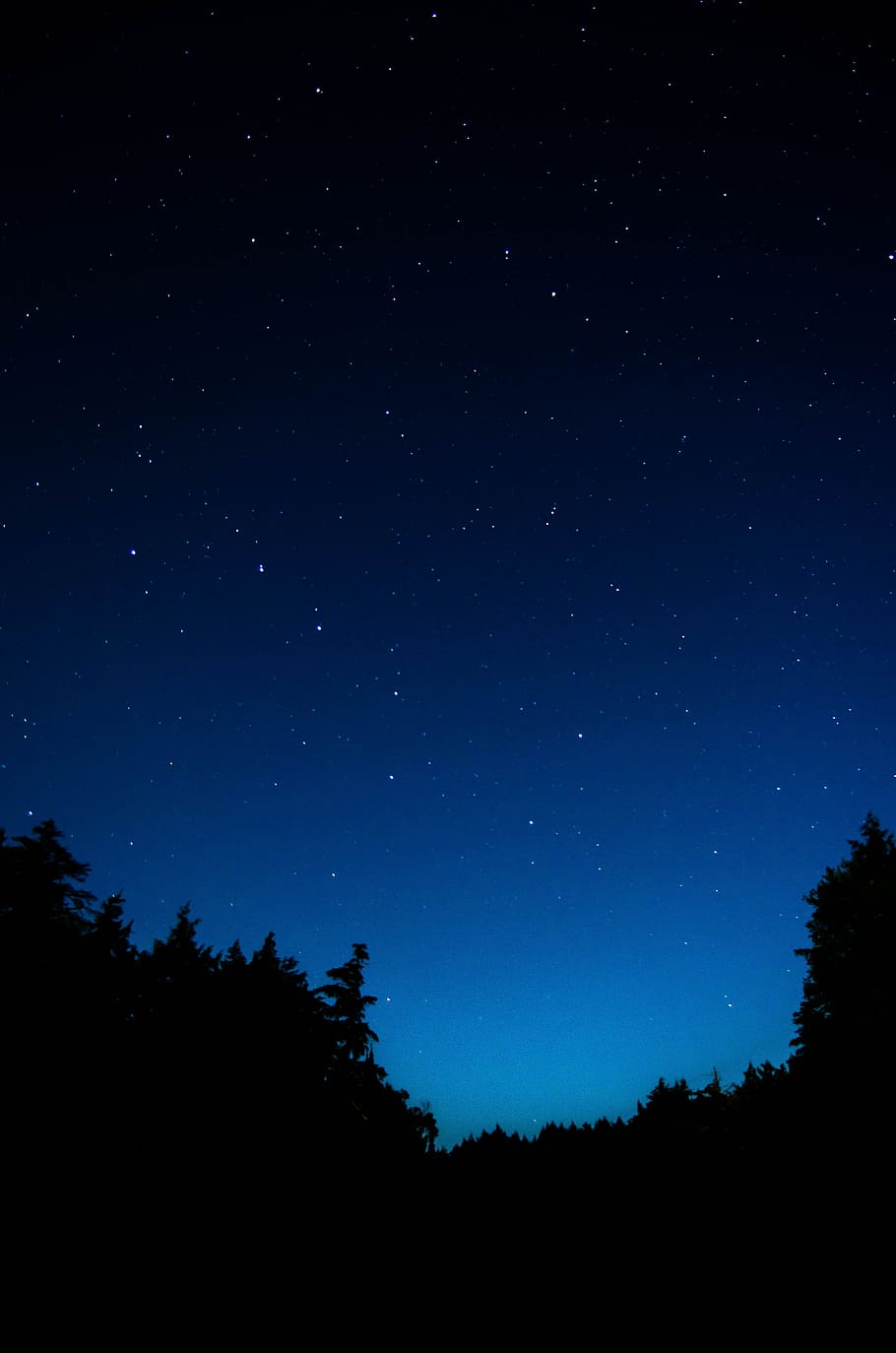 sky at night, tree, nature, star, silhouette, blue, minimal, wallpaper HD wallpaper