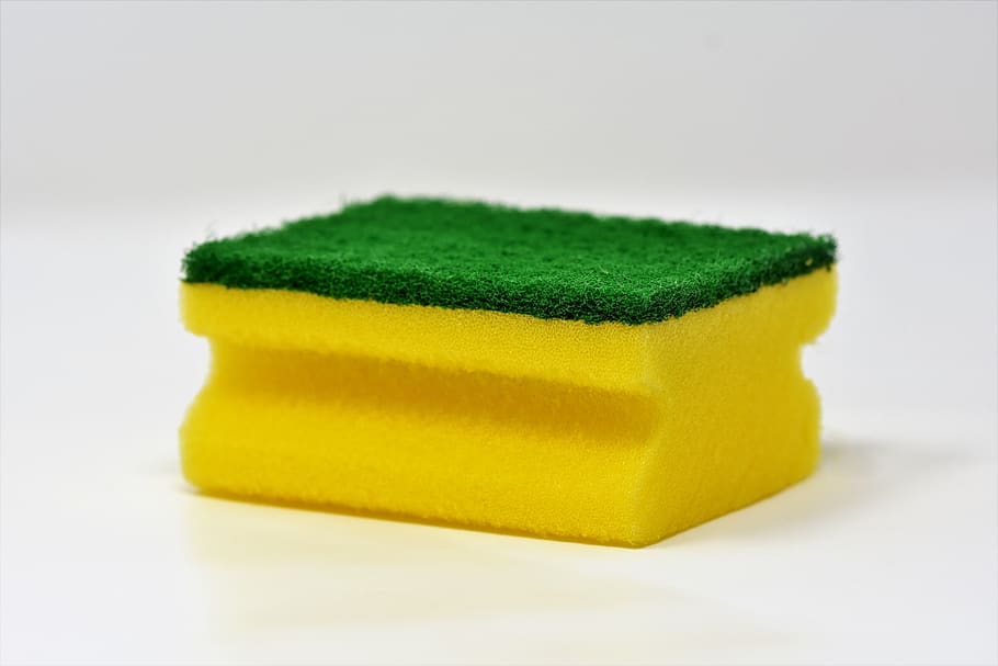 sponge, cleaning sponge, rinse, scrub, cleanliness, household sponge