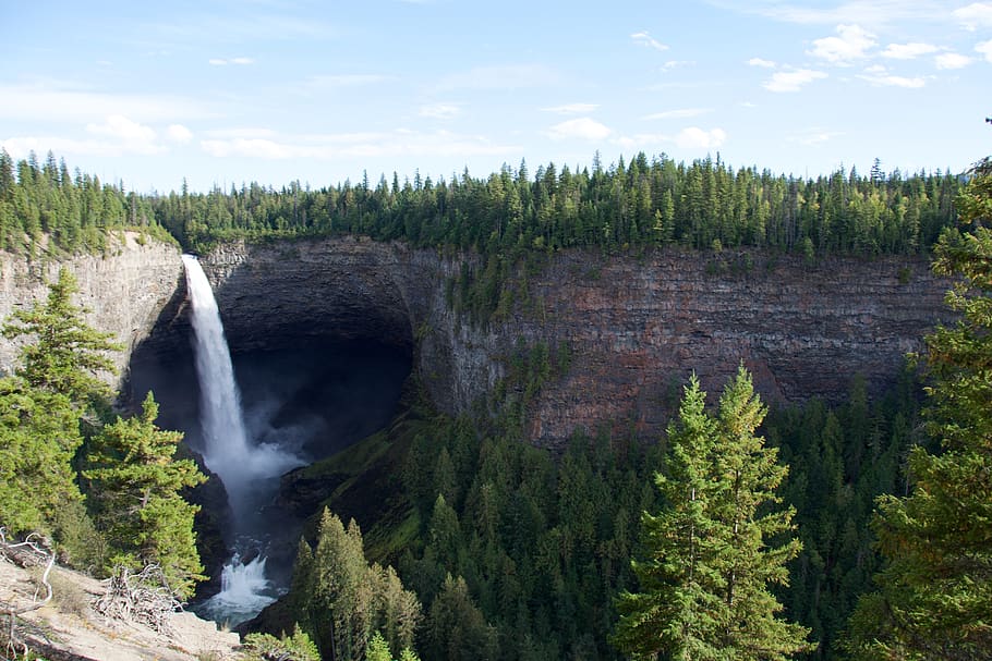 helmcken falls, kanada, tree, plant, beauty in nature, scenics - nature HD wallpaper