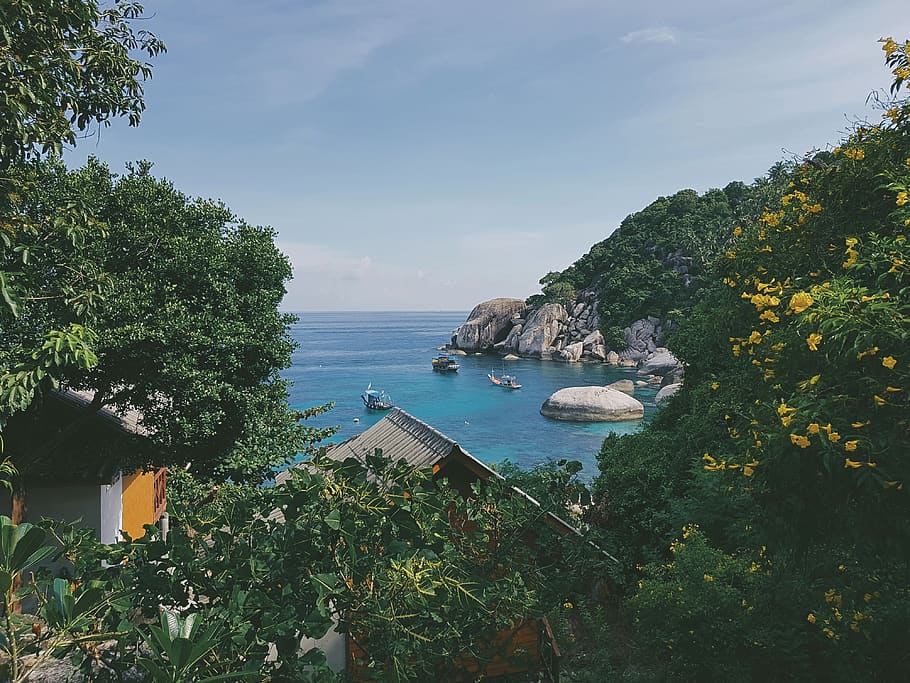 tailandia, ko tao, water, plant, sky, tree, beauty in nature HD wallpaper