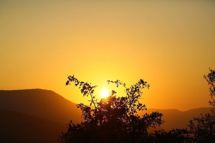 sunset, nature, landscape, sky, in the evening, tree, forest HD wallpaper