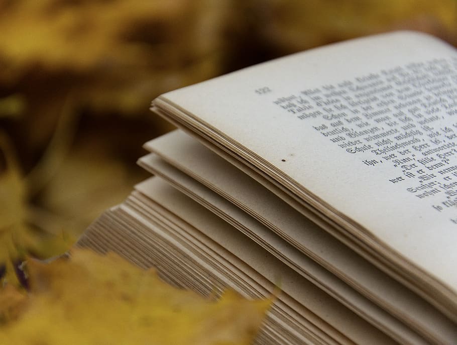 book, paper, leaves, leaf, autumn, fall, text, letters, nature HD wallpaper