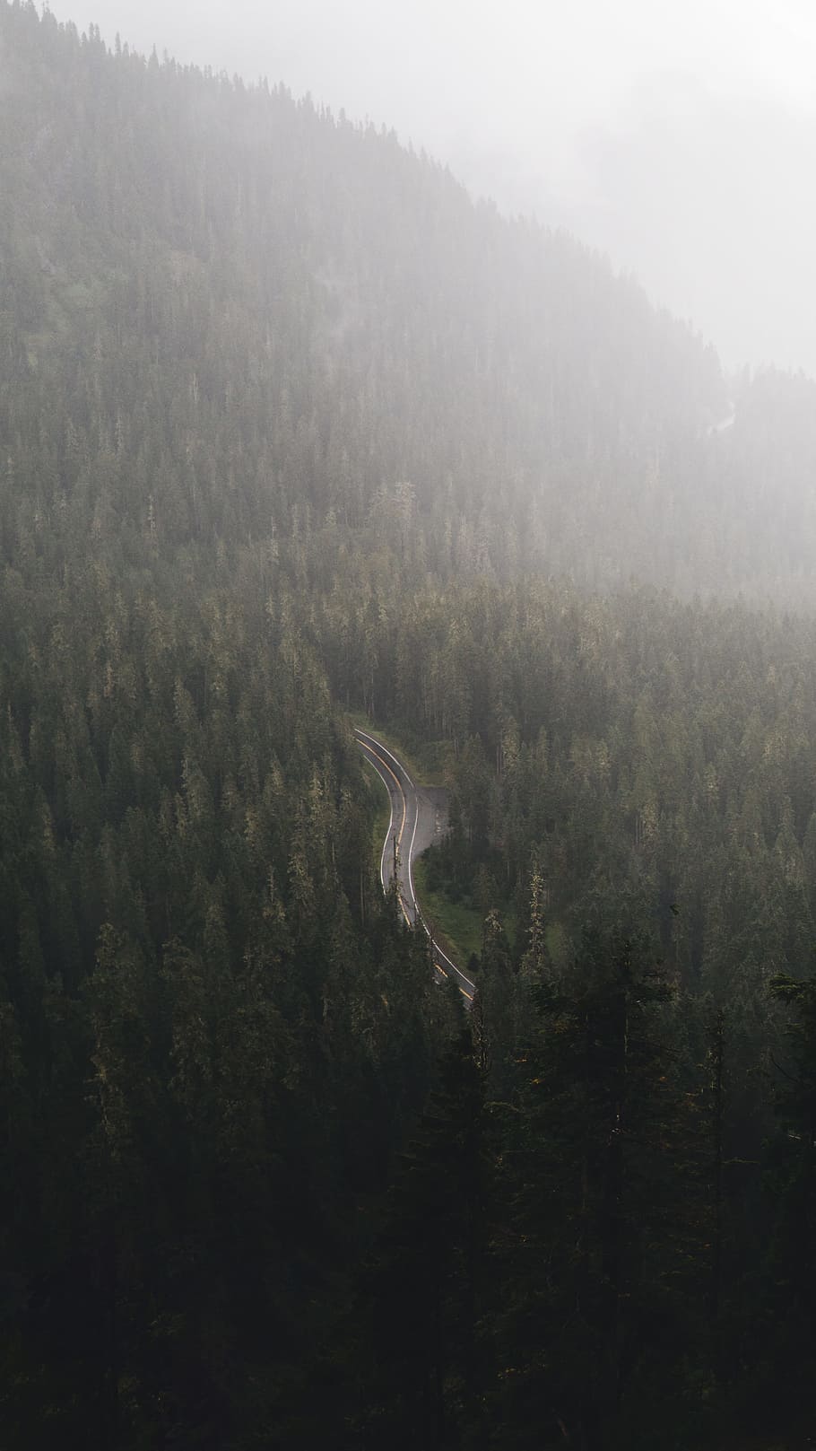 road in forest, drone view, woodland, mist, fog, landscape, curve HD wallpaper