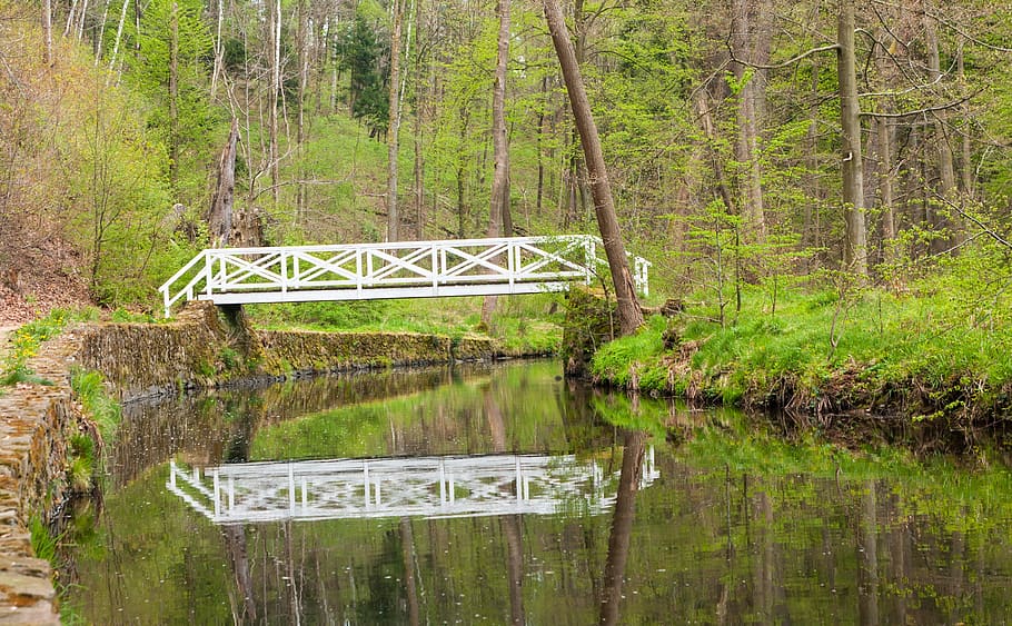 river, bach, bridge, reflection, water, nature, landscape, forest HD wallpaper
