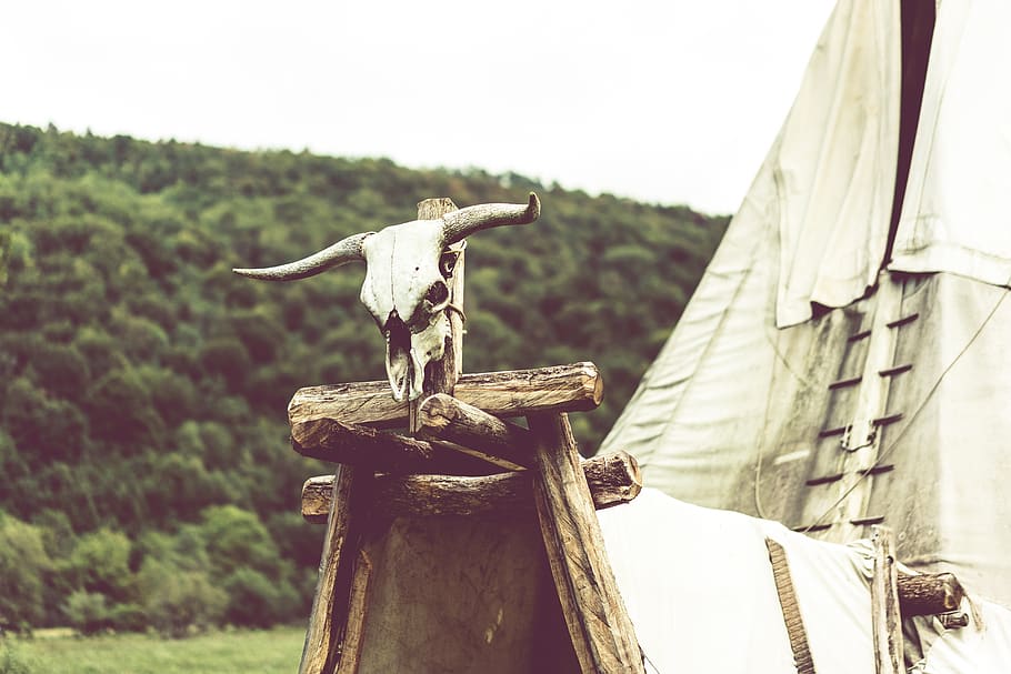 tipi, indians, tent, skull, animal skull, wilderness, focus on foreground HD wallpaper