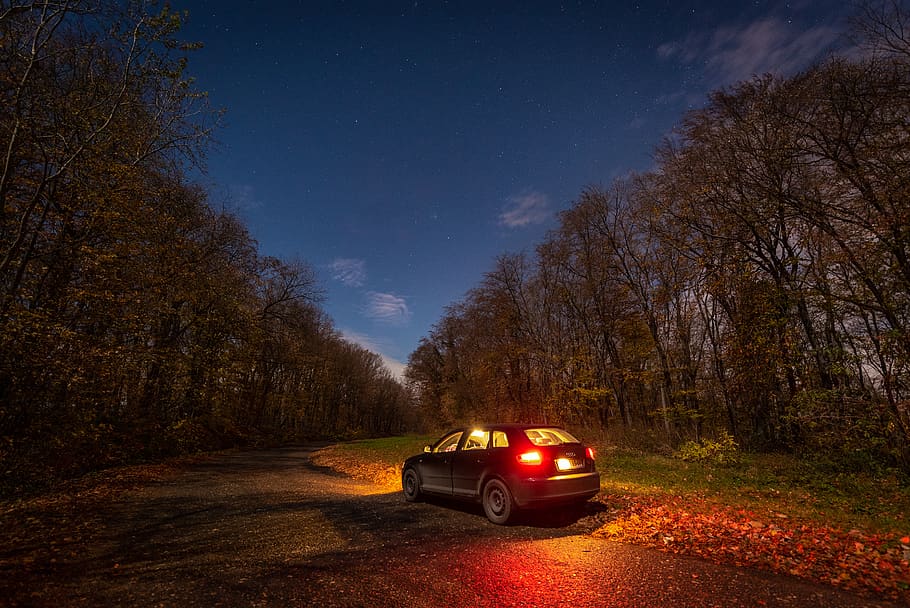black sedan surrounded by trees, mode of transportation, night HD wallpaper