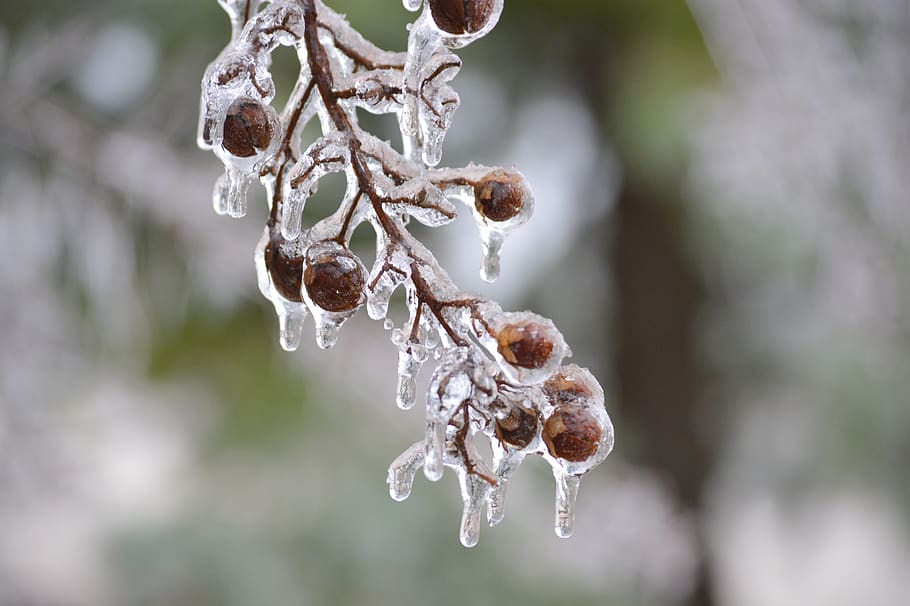 Ice, winter, frozen, focus on foreground, cold temperature HD wallpaper