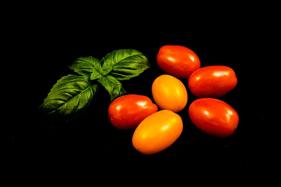 tomato, basil, vegetables, food, healthy, fresh, vegetarian HD wallpaper