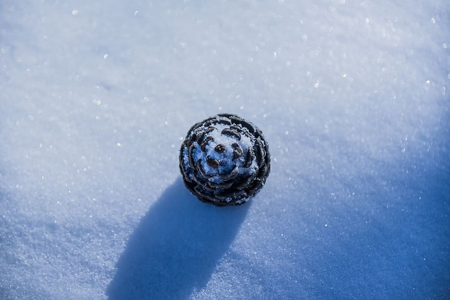 pine cone, sphere, nature, outdoors, snow, snake, animal, reptile HD wallpaper