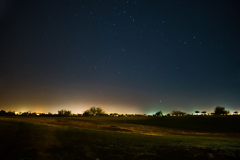trees, grass, stars, space, lights, night, star - space, sky HD wallpaper