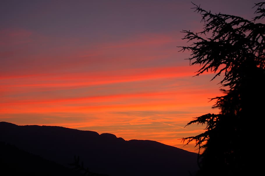 silhouette, red, sunset, sky, beauty in nature, scenics - nature HD wallpaper