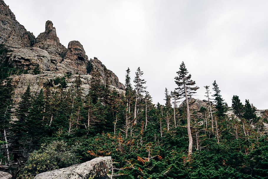 estes park, united states, rmnp, rocky mountain, rocky mountains