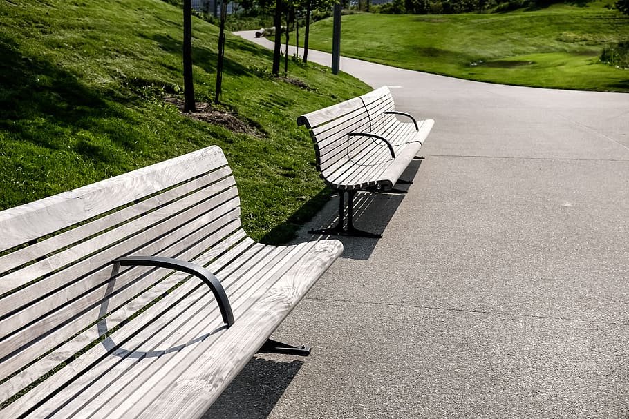 Benches in park, attractive, background, beautiful, bed, blooming HD wallpaper