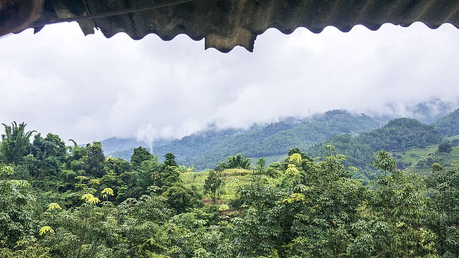 mountain window scenry, vegetation, plant, nature, outdoors, land HD wallpaper