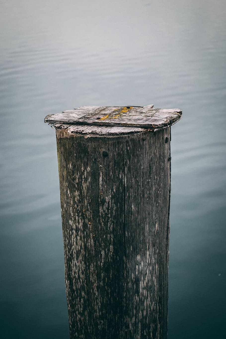 brown wooden post, water, seeham, austria, outdoors, tree stump HD wallpaper
