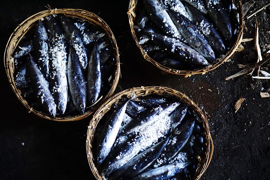 fish, food and drink, still life, freshness, close-up, no people HD wallpaper